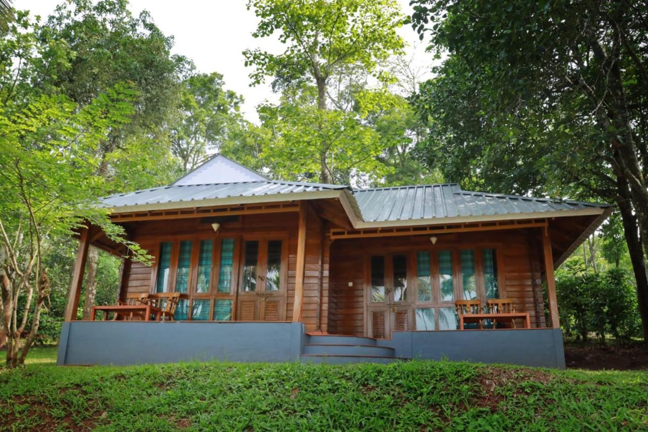 Royal Wooden Villa 玛纳多迪 外观 照片